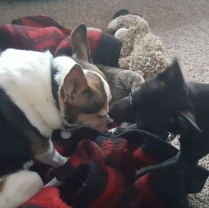 Meet your Posher, Tammy